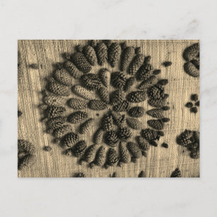 Pine Cones mandala retro foto Briefkaart