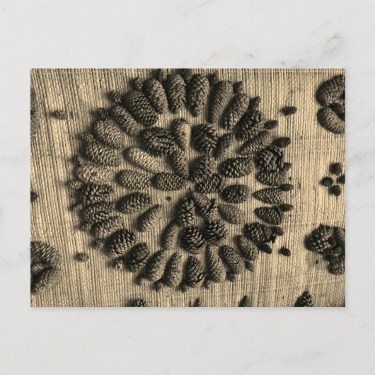 Pine Cones mandala retro foto Briefkaart (Voorkant)