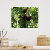 Pine Cones Poster (Keuken)