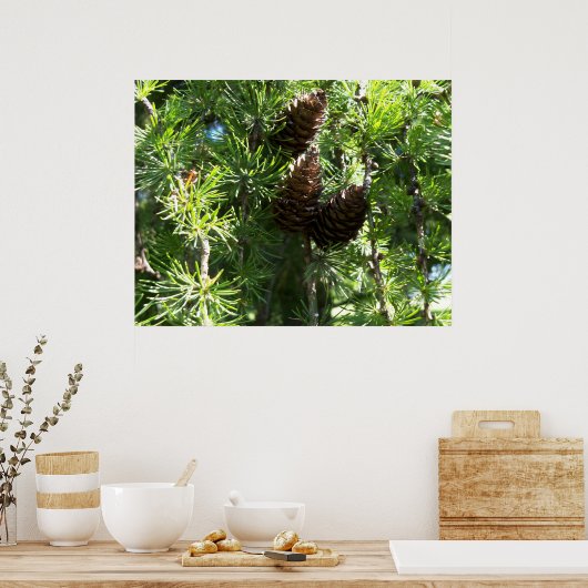 Pine Cones Poster (Keuken)