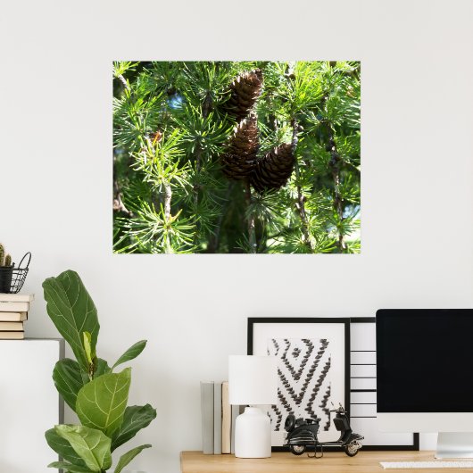Pine Cones Poster (Thuiskantoor)