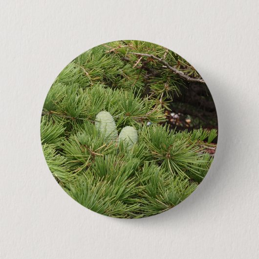 Pine Cones Ronde Button 5,7 Cm (Voorkant)