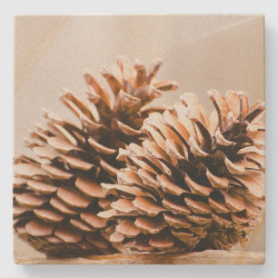 Pine Cones Rustic Country Sandstone Onderzetter