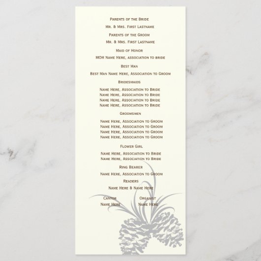 Pine Cones Rustiek Zilver en Bruin Programmakaart (Achterkant)