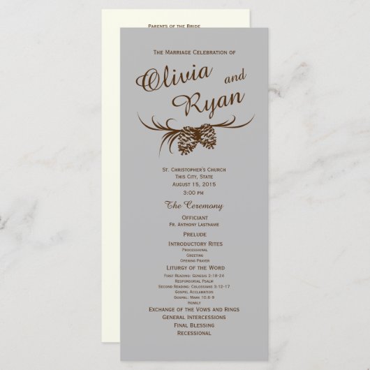 Pine Cones Rustiek Zilver en Bruin Programmakaart (Voorkant / Achterkant)