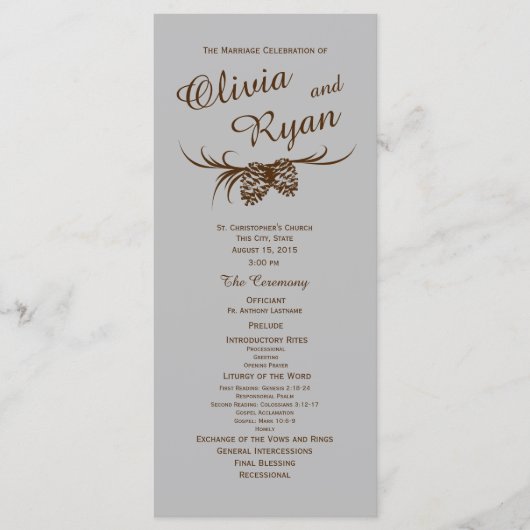 Pine Cones Rustiek Zilver en Bruin Programmakaart (Voorkant)