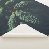 PINE CONES SHERPA DEKEN (3/4)