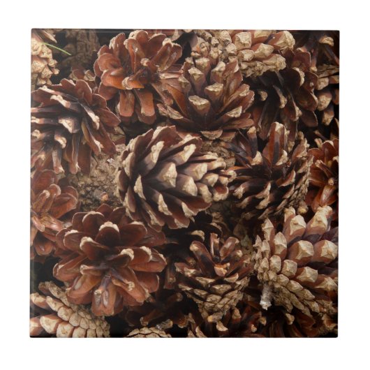 Pine Cones Tile Tegeltje (Voorkant)