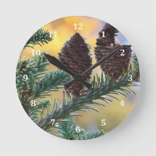 Pine Cones Woodlands Natuur Scene Ronde Klok