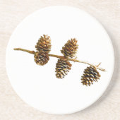 Pine Cones Zandsteen Onderzetter (Voorkant)