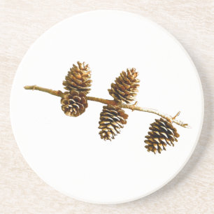 Pine Cones Zandsteen Onderzetter