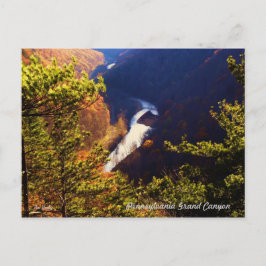 Pine Creek Gorge Overkijk van de Pa Grand Canyon Briefkaart