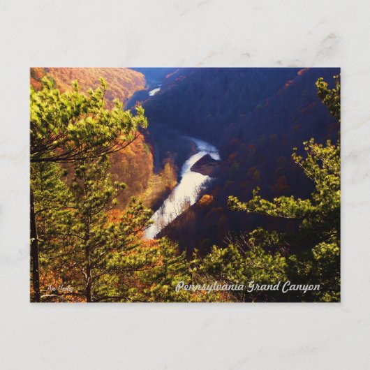 Pine Creek Gorge Overkijk van de Pa Grand Canyon Briefkaart (Voorkant)