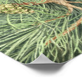 Pine dryad poster (Hoek)