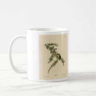 Pine Finch (Pine Siskin), Audubon Birds of America Koffiemok