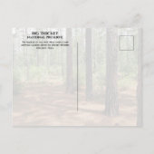 Pine Forest Clearing Big Thicket National Preserve Briefkaart (Achterkant)