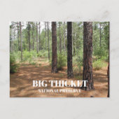 Pine Forest Clearing Big Thicket National Preserve Briefkaart (Voorkant)