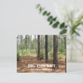 Pine Forest Clearing Big Thicket National Preserve Briefkaart (Staand voorkant)