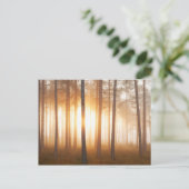 Pine Forest Landscape Briefkaart (Staand voorkant)