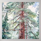 Pine Forest Landscape Home Decor Poster (Voorkant)