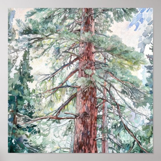 Pine Forest Landscape Home Decor Poster (Voorkant)