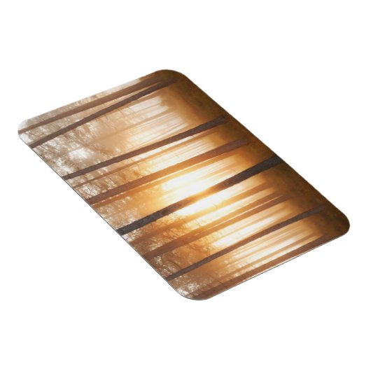 Pine Forest Landscape Magneet (Rechterzijde)