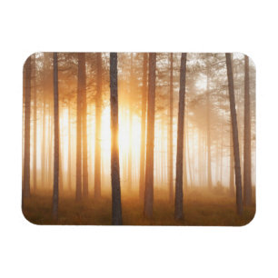Pine Forest Landscape Magneet