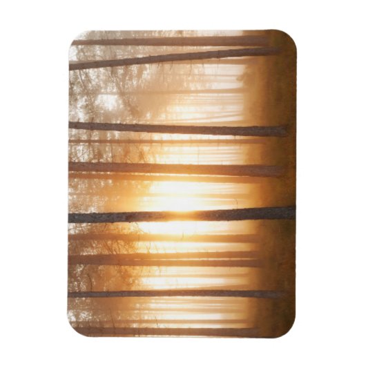 Pine Forest Landscape Magneet (Verticaal)