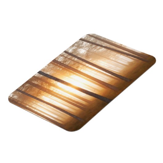 Pine Forest Landscape Magneet (Linkerzijde)