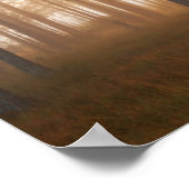 Pine Forest Landscape Poster (Hoek)