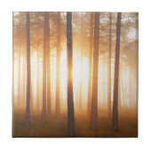 Pine Forest Landscape Tegeltje (Voorkant)
