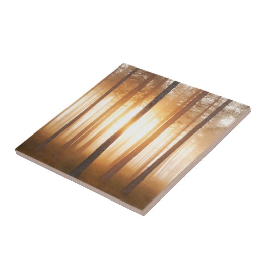 Pine Forest Landscape Tegeltje (Zijkant)