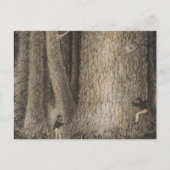 Pine Forest, Oregon Briefkaart (Voorkant)