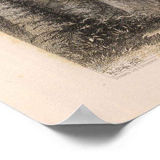 Pine Forest, Oregon Poster (Hoek)