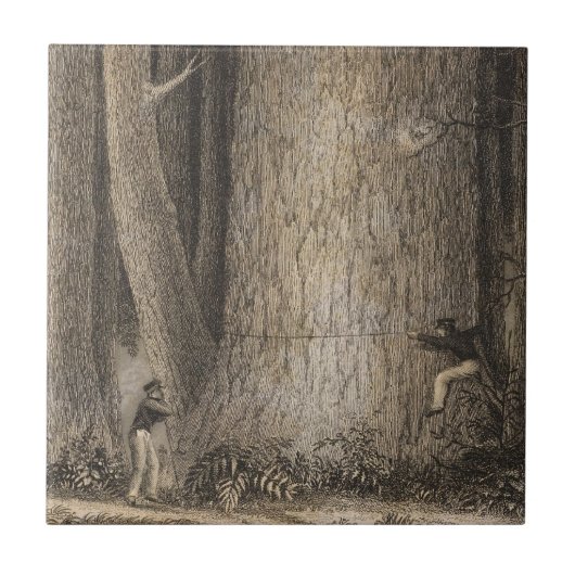 Pine Forest, Oregon Tegeltje (Voorkant)