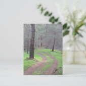 Pine Forest Road Briefkaart (Staand voorkant)