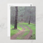 Pine Forest Road Briefkaart (Voorkant / Achterkant)