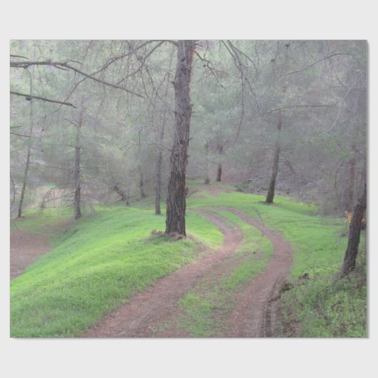 Pine Forest Road Cadeaupapier (Vlak)