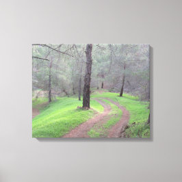 Pine Forest Road Canvas Afdruk
