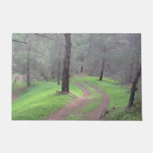 Pine Forest Road