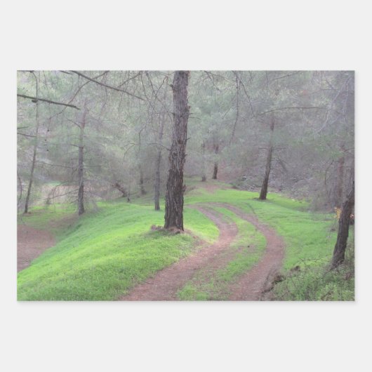 Pine Forest Road Inpakpapier Vel (Voorkant 3)