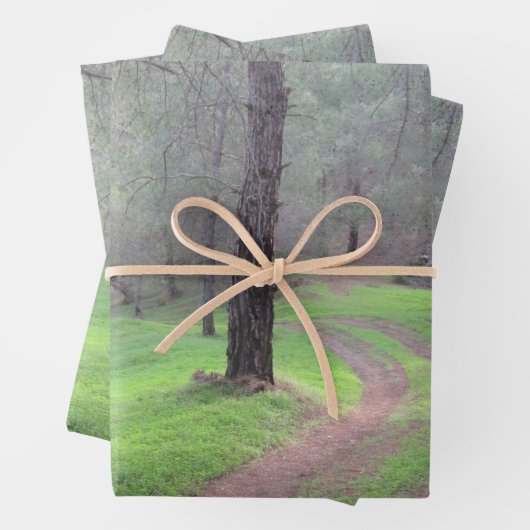 Pine Forest Road Inpakpapier Vel (In situ)