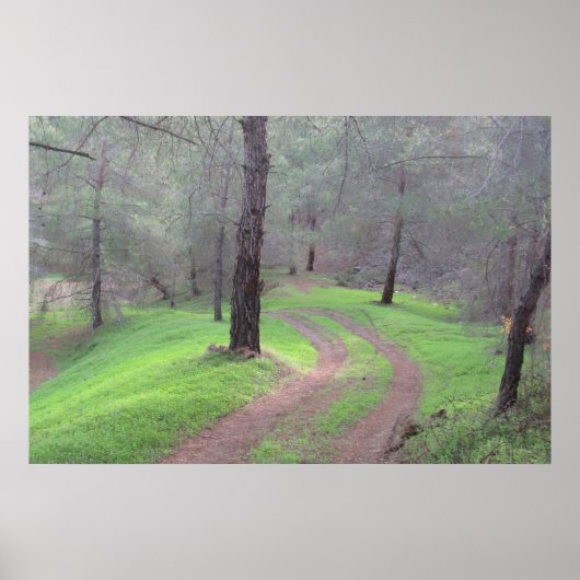 Pine Forest Road Poster (Voorkant)