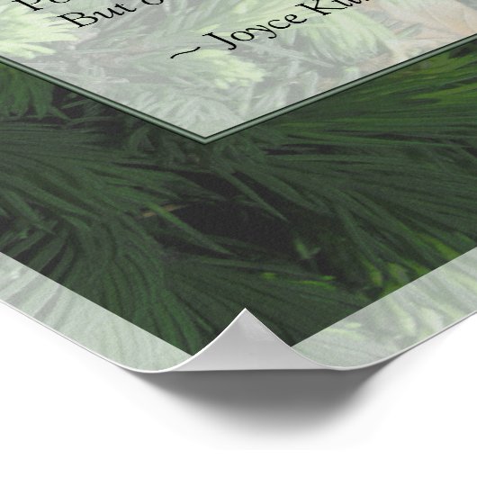 Pine Forest Trees Poster Print (Hoek)