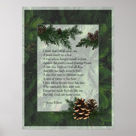 Pine Forest Trees Poster Print (Voorkant)