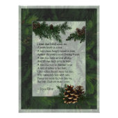 Pine Forest Trees Poster Print (Voorkant)