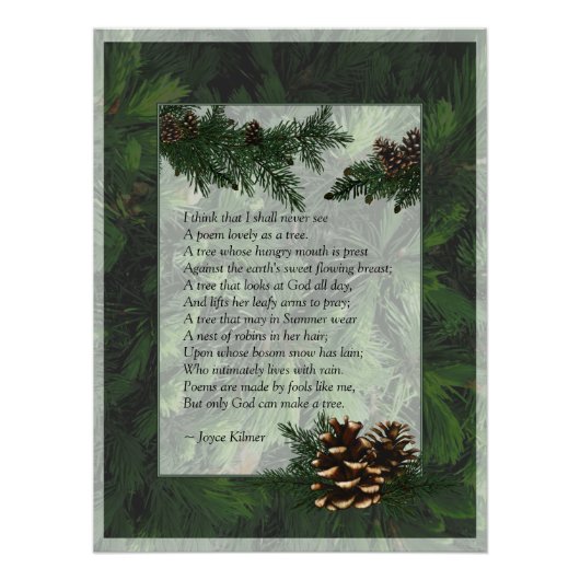 Pine Forest Trees Poster Print (Voorkant)