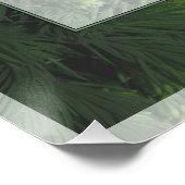 Pine Forest Trees Poster Print (Hoek)