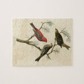 Pine Grosbeak van de Amerikaanse vogels van Audubo Legpuzzel (Horizontaal)