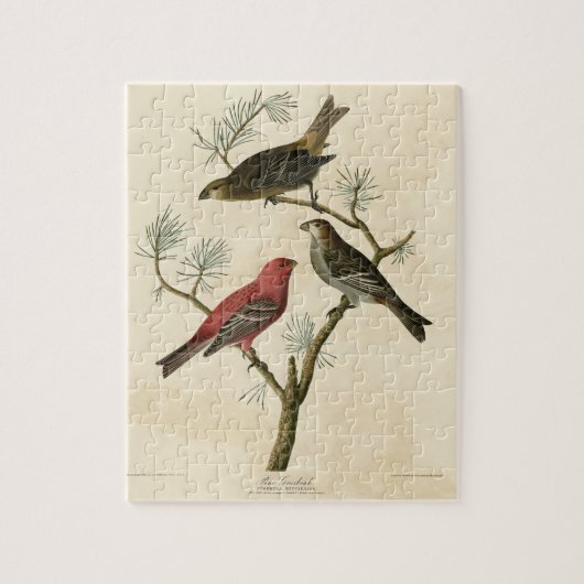 Pine Grosbeak van de Amerikaanse vogels van Audubo Legpuzzel (Verticaal)